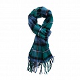 картинка Clans of Scotland Mackenzie Ancient от магазина  Mykilt